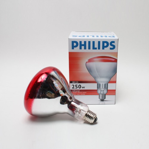 필립스 적외선램프 100W 250W